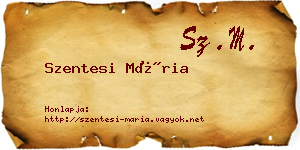Szentesi Mária névjegykártya